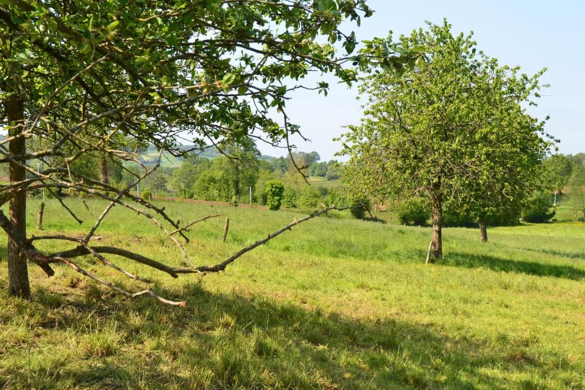 La Rivière
