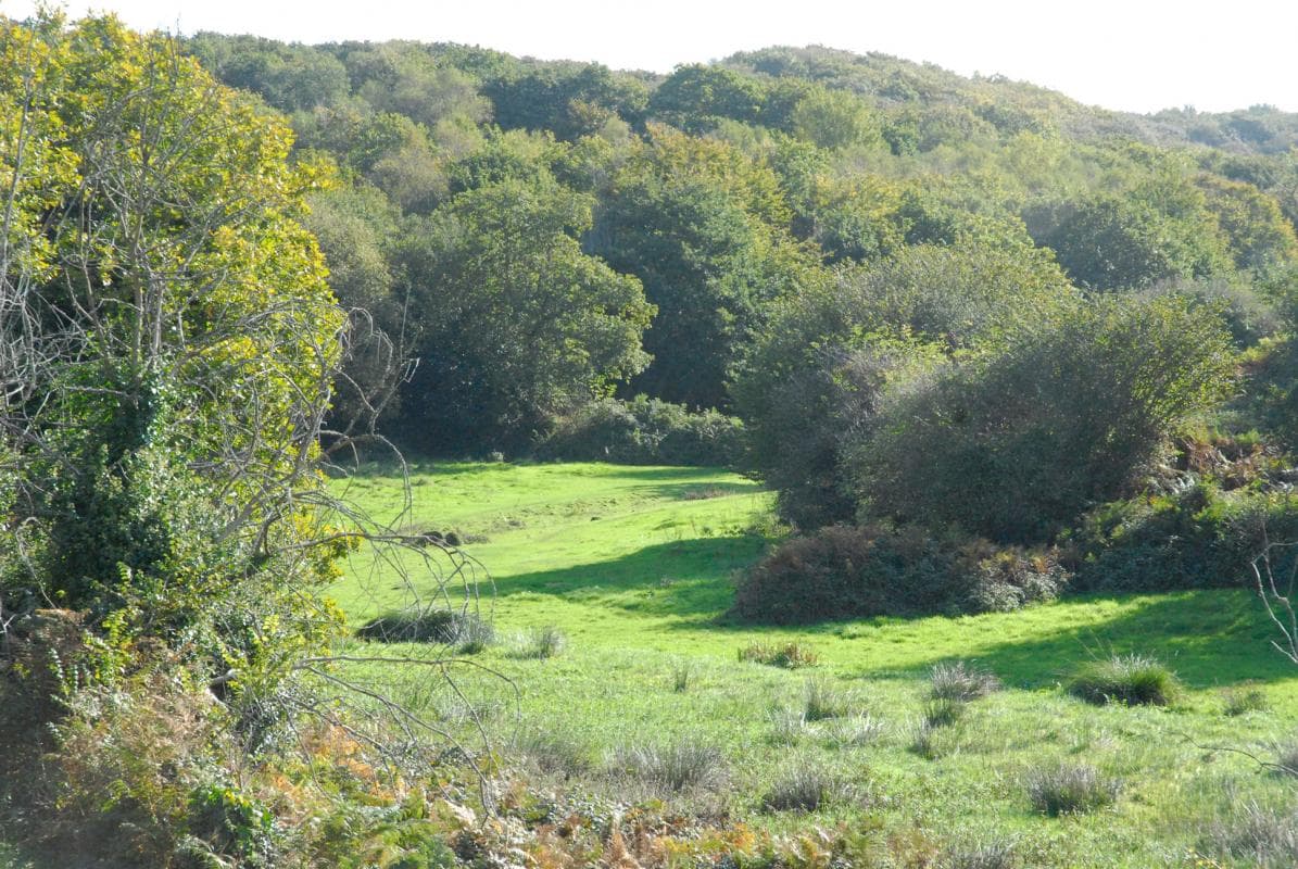 Le Moulin Cardin