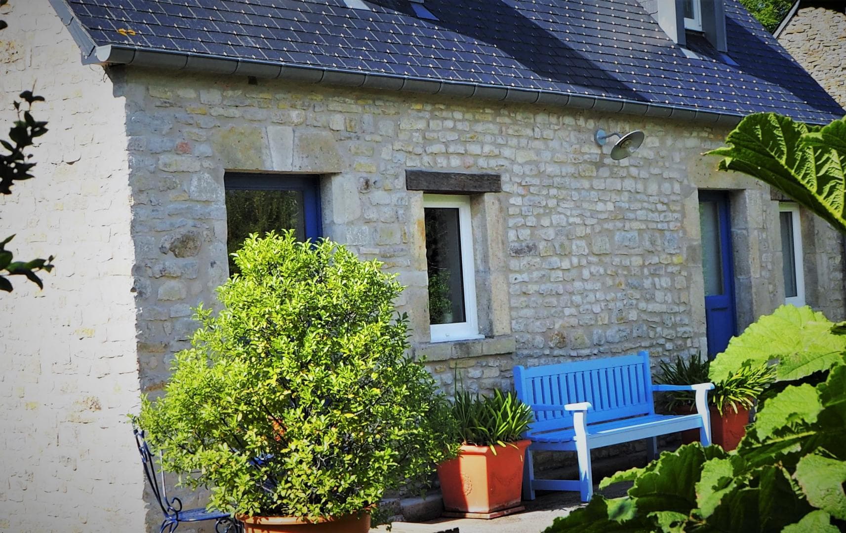 Le Jardin du Marais - Les Gunneras