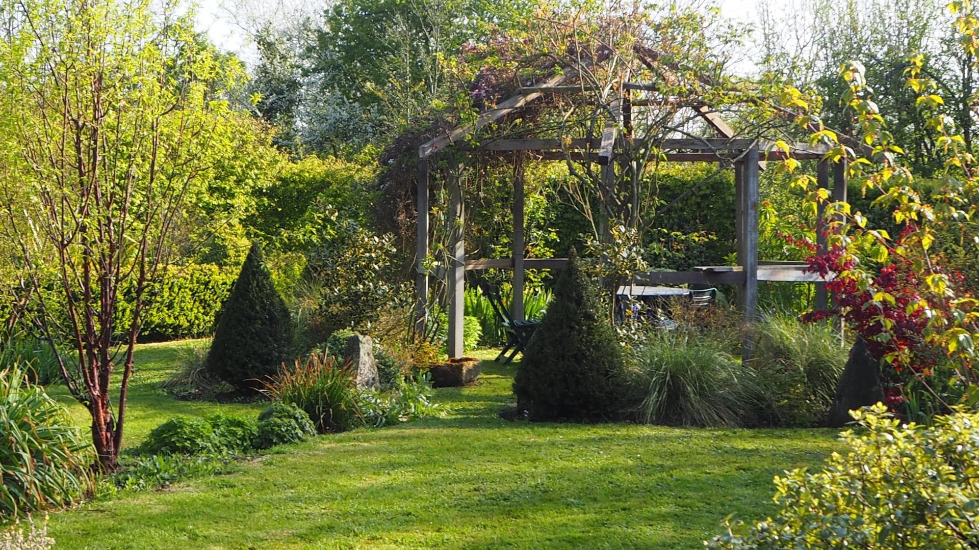 Le Jardin du Marais - Les Gunneras