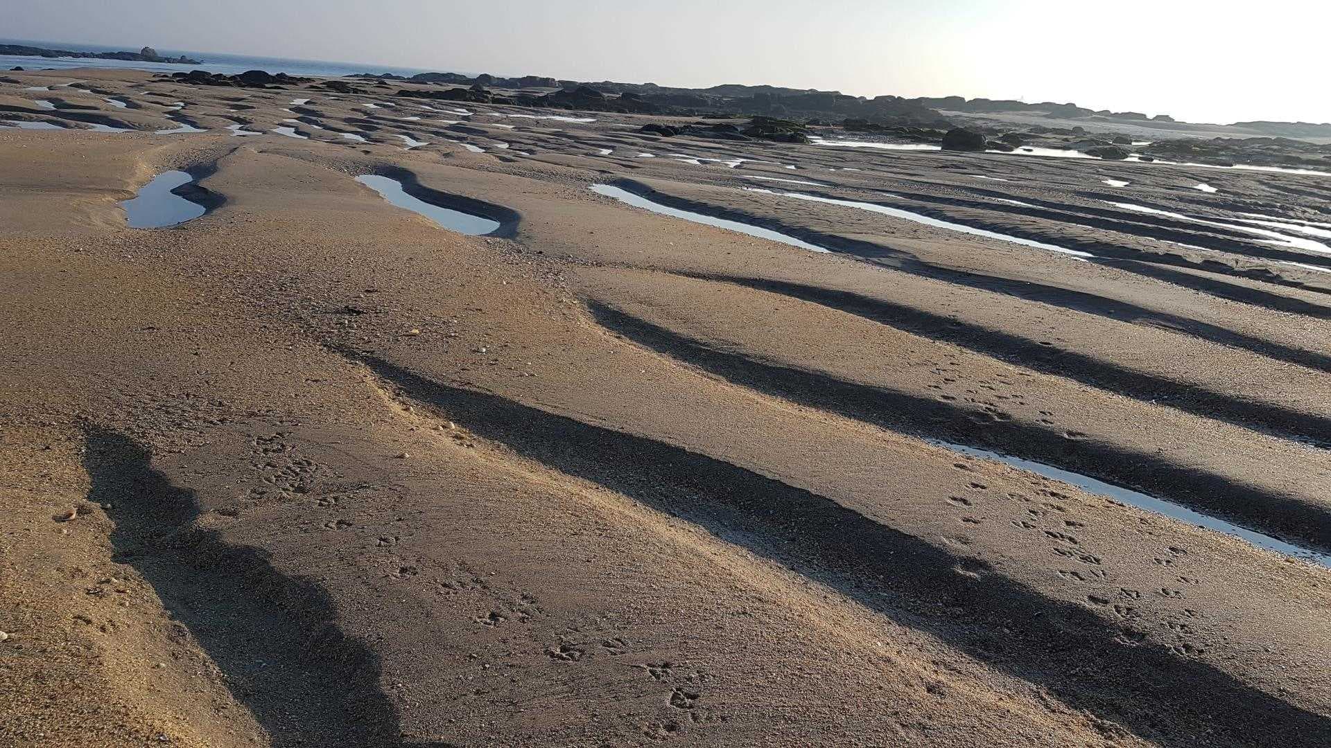 Les Gravelots