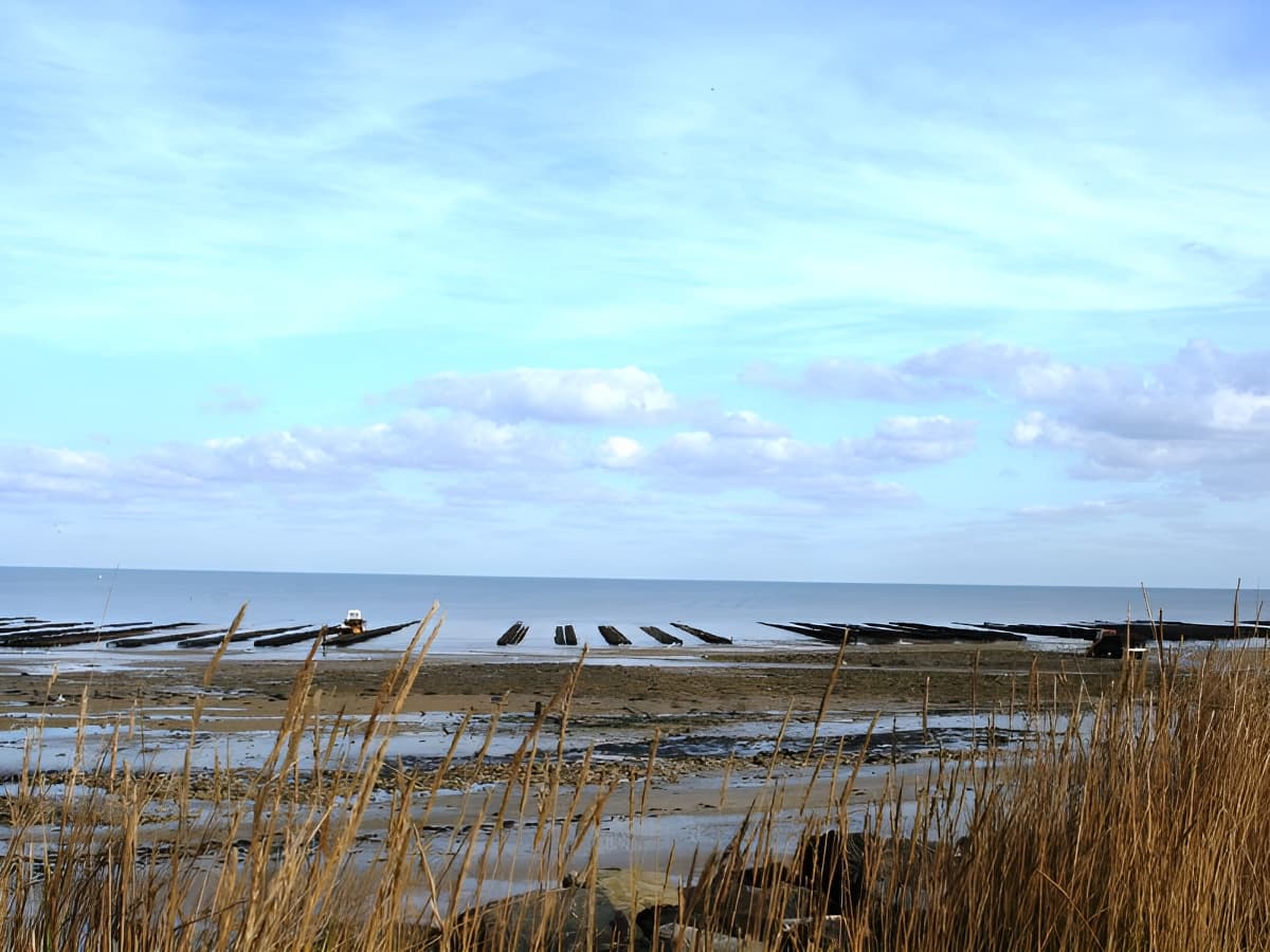 GRANDCAMP MAISY_Parcs à huîtres
