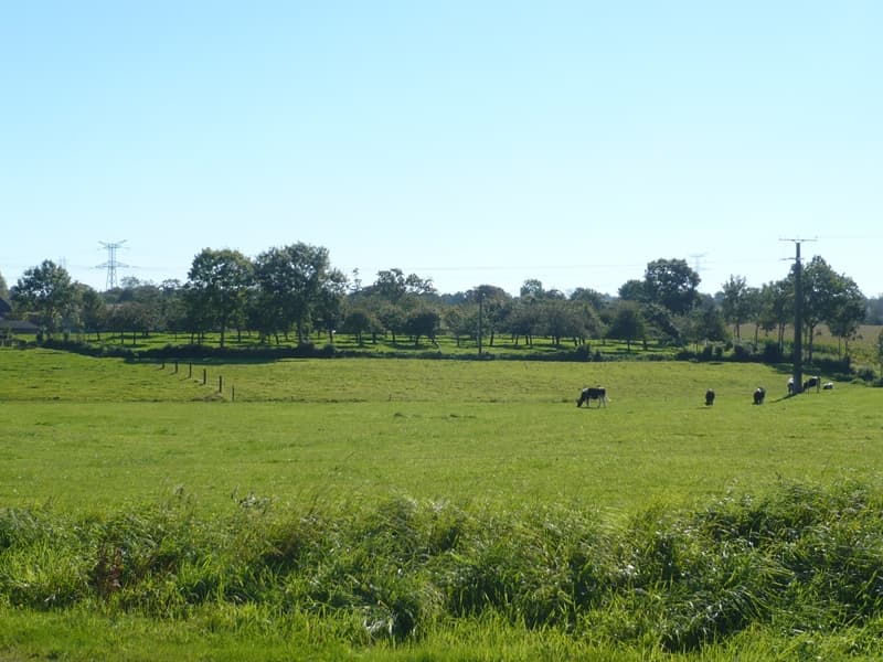 GUISLAIN (LE) G44410j
