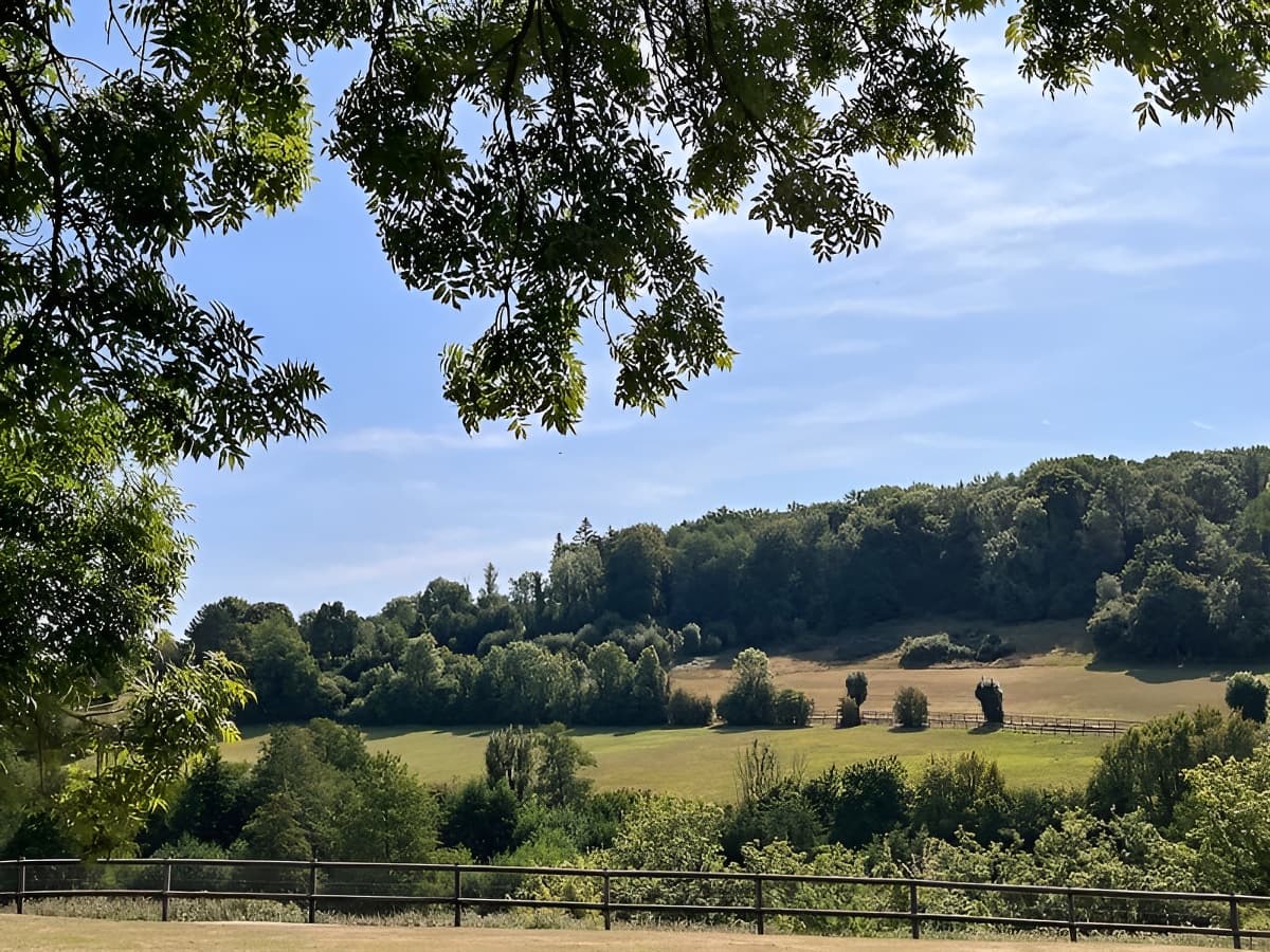 Gite Marguerite Petale vue