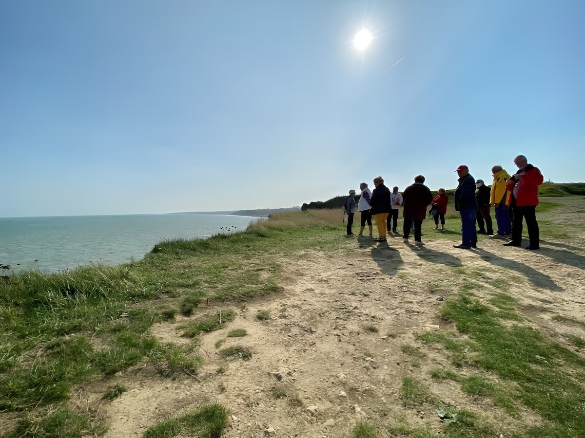 GoldBeach Company (1)