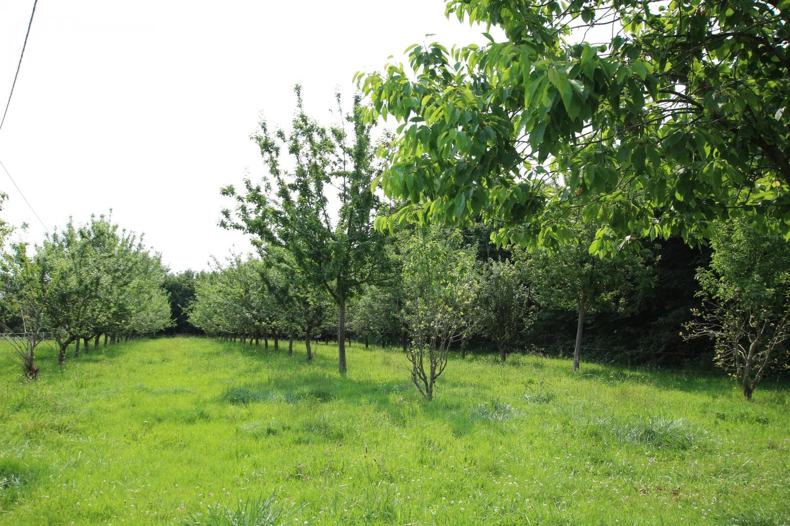 La Ferme des Delinières