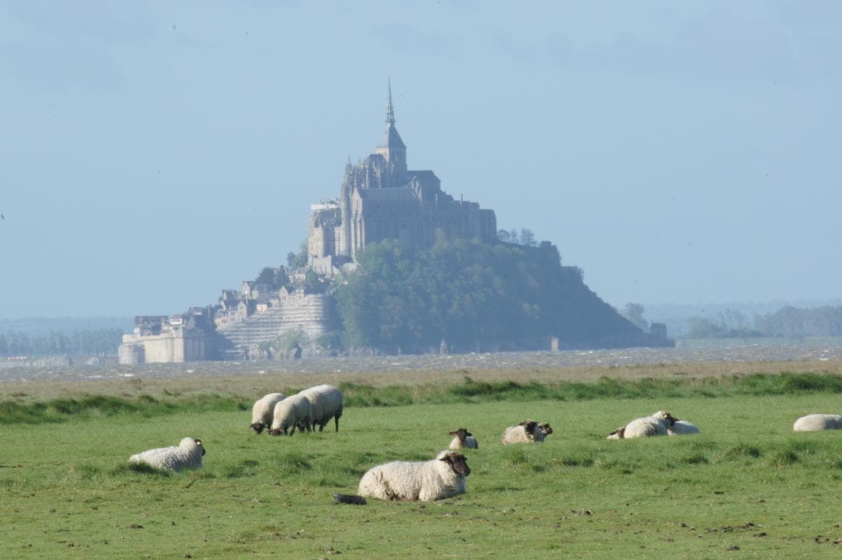 Le Logis des Prés Salés