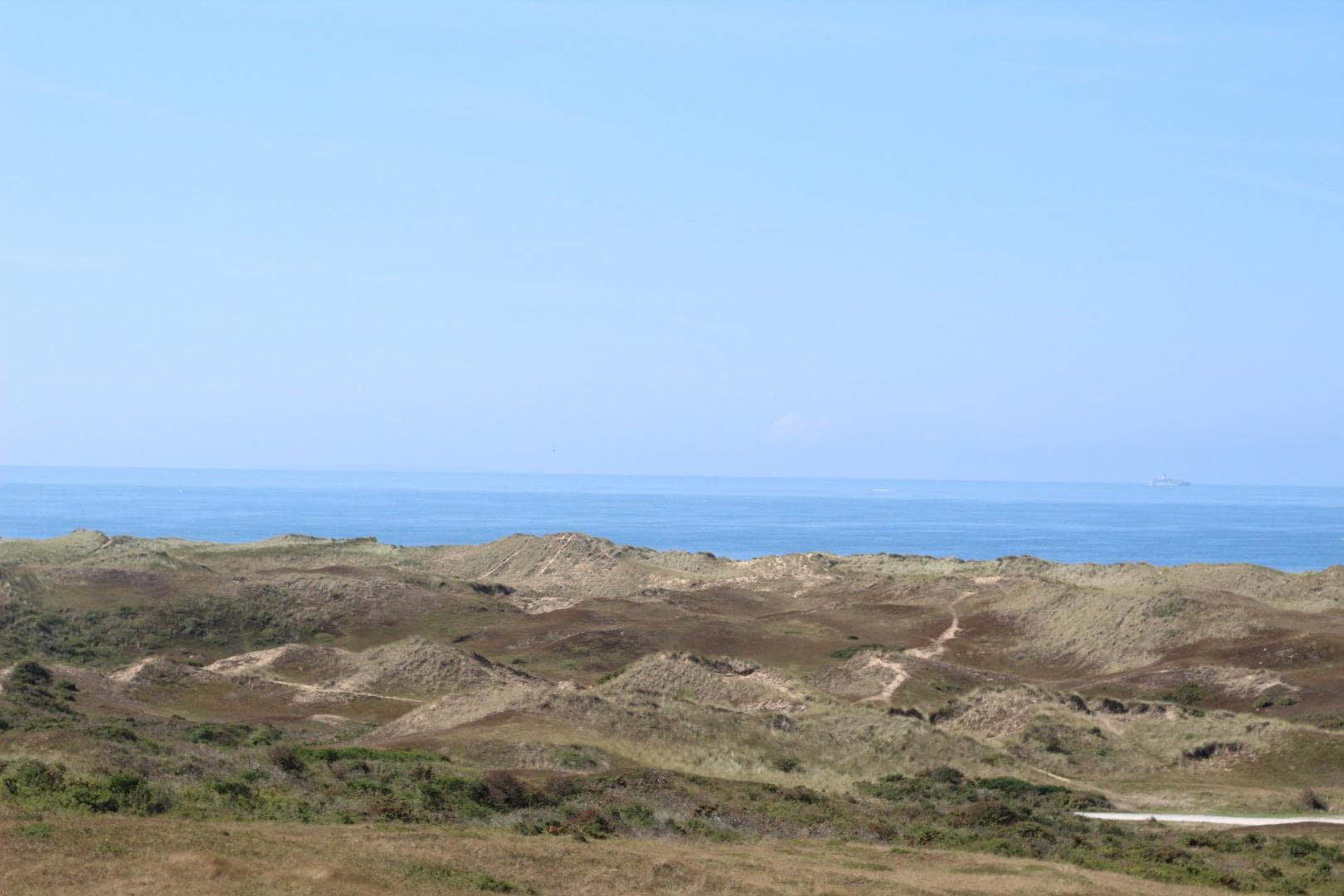 Oyat des sables