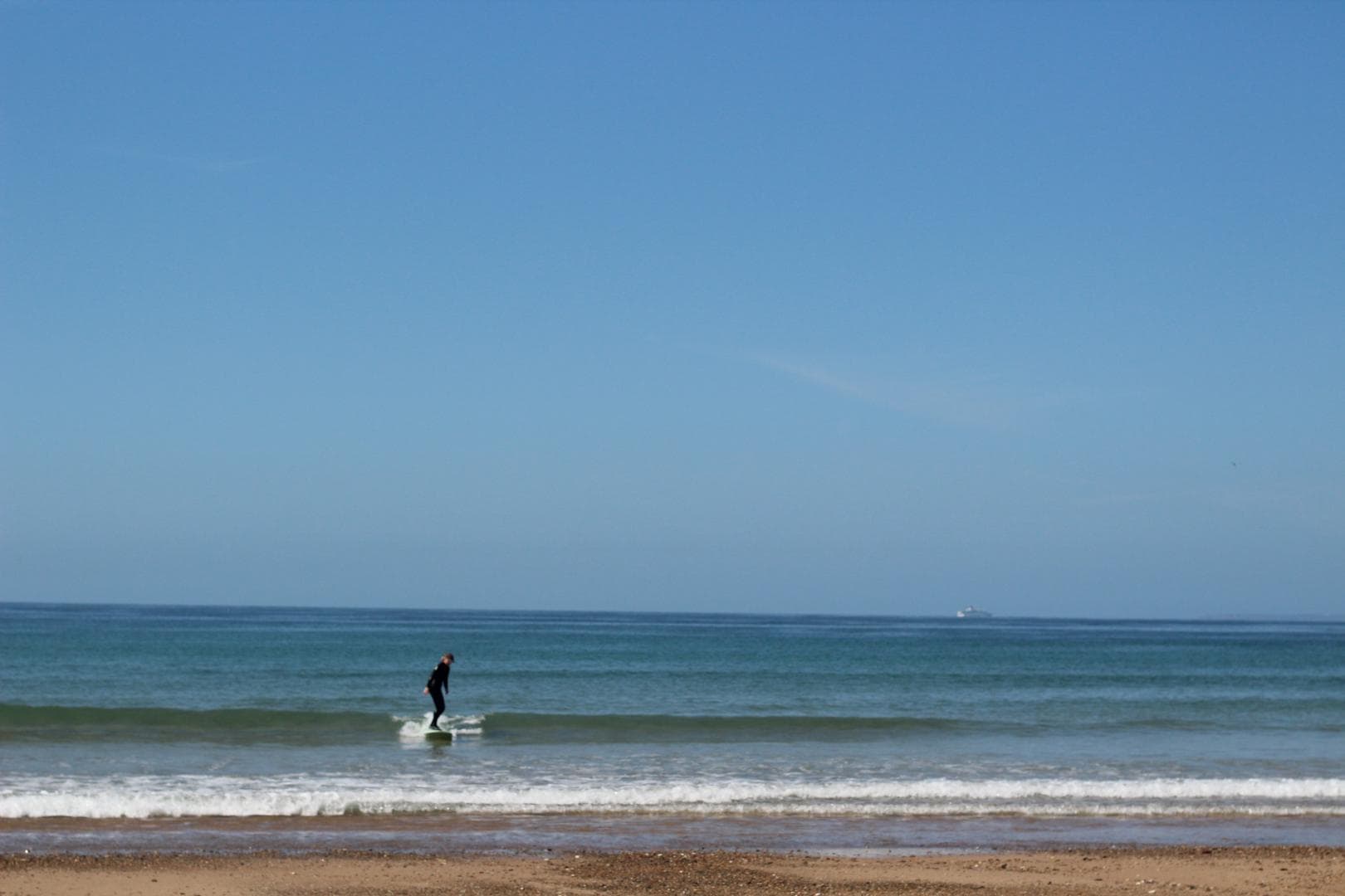 Oyat des sables