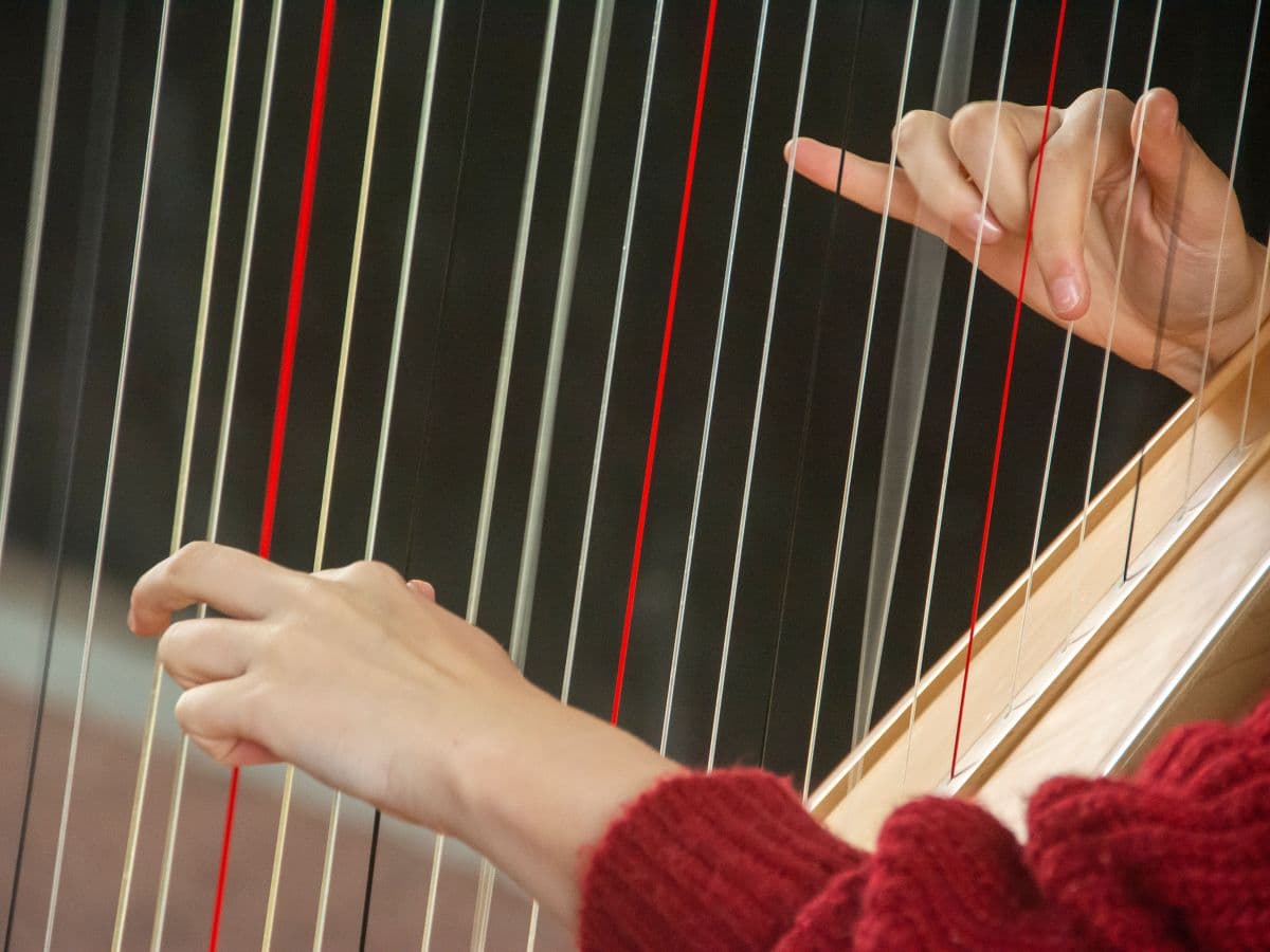 Harpe