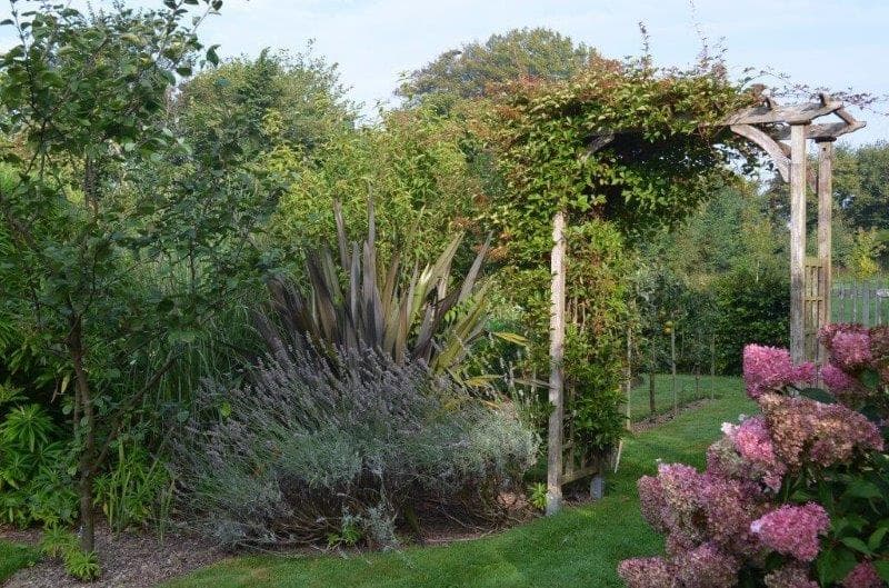 Helleville_Au Phil du Jardin_2