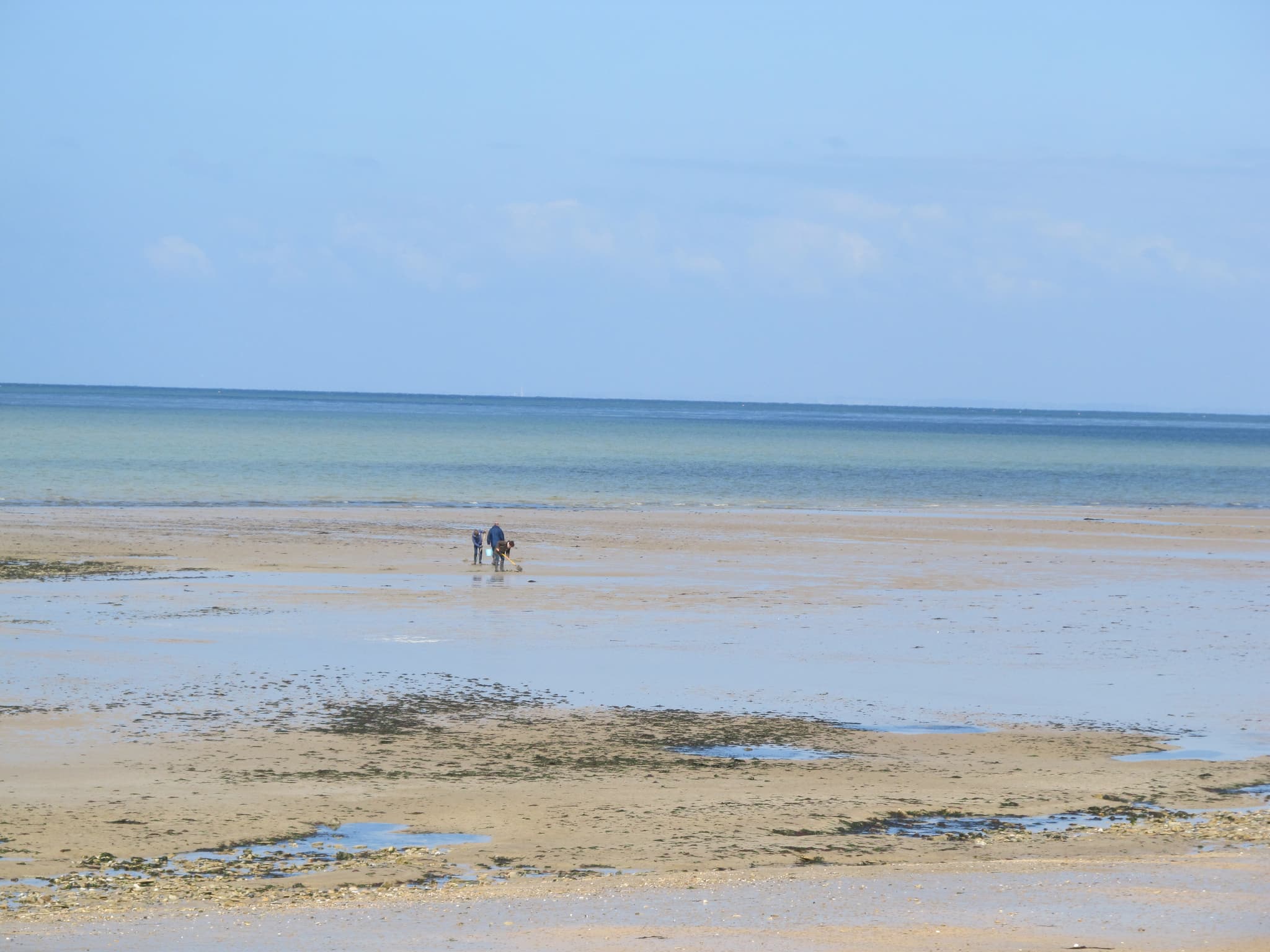 Environnement proche:La plage