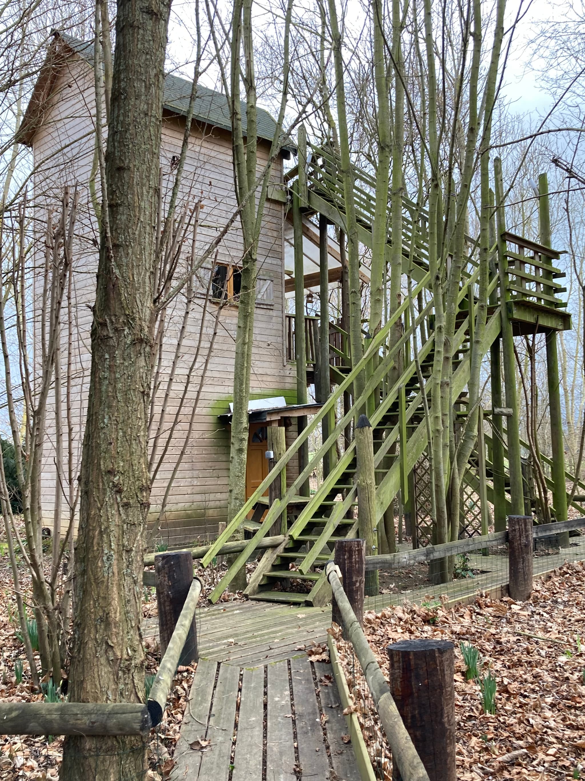 Cabane dans les bois et ses 2 chambres