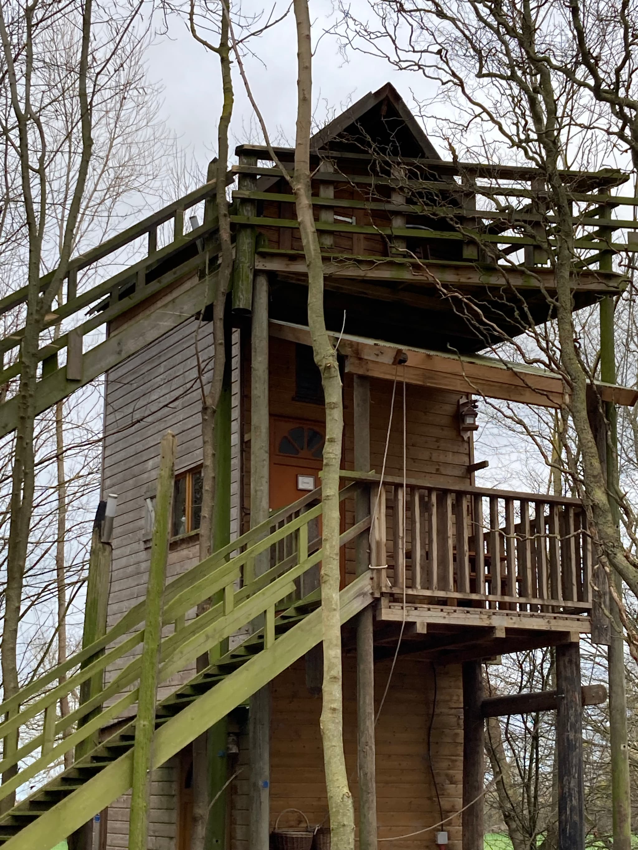 Cabane dans les bois