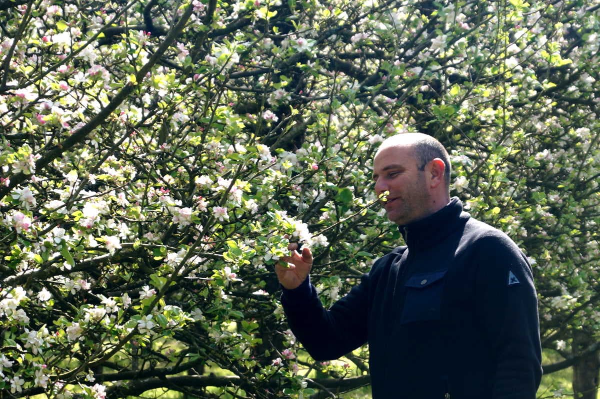 Domaine de Rugueville - Portbail