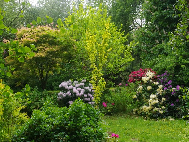 rampan-jardin-le-pre-du-moulin-7