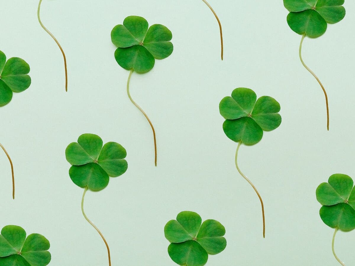 Irish