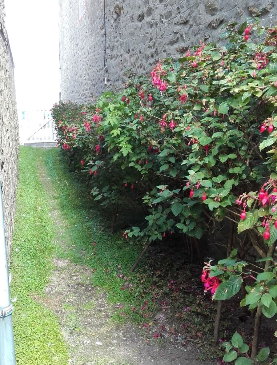 St-Vaast-La-Hougue-meublé-22