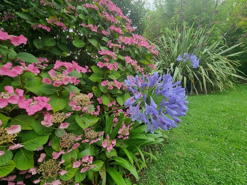 JARDIN PRESBYTERE