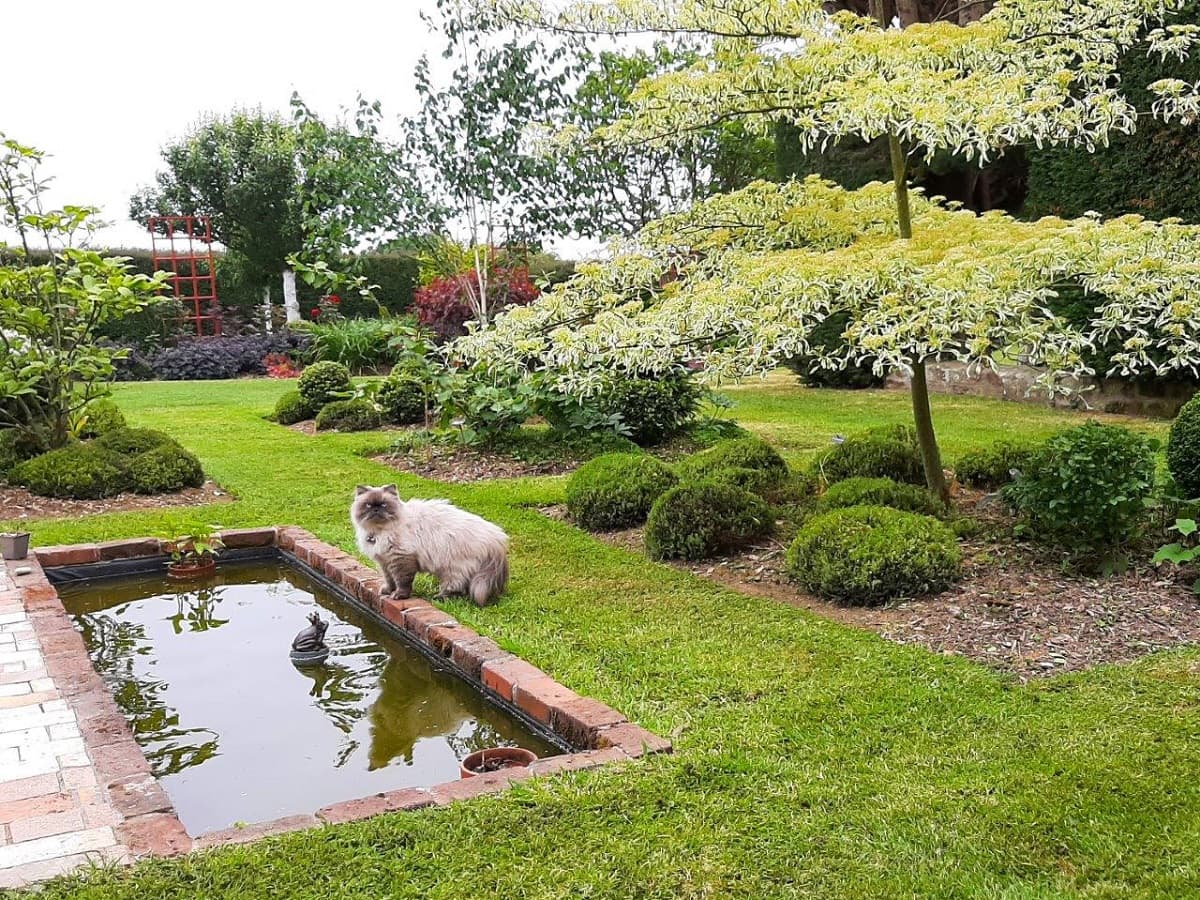 JARDIN RADIOPHARE-BEGUE AM-CEC-1