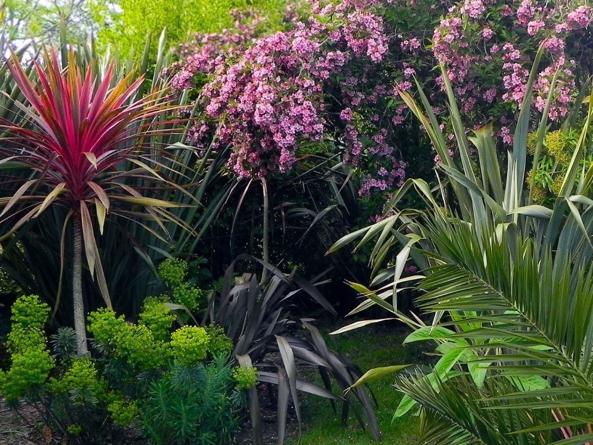 JARDIN RADIOPHARE-BEGUE AM-CEC-2