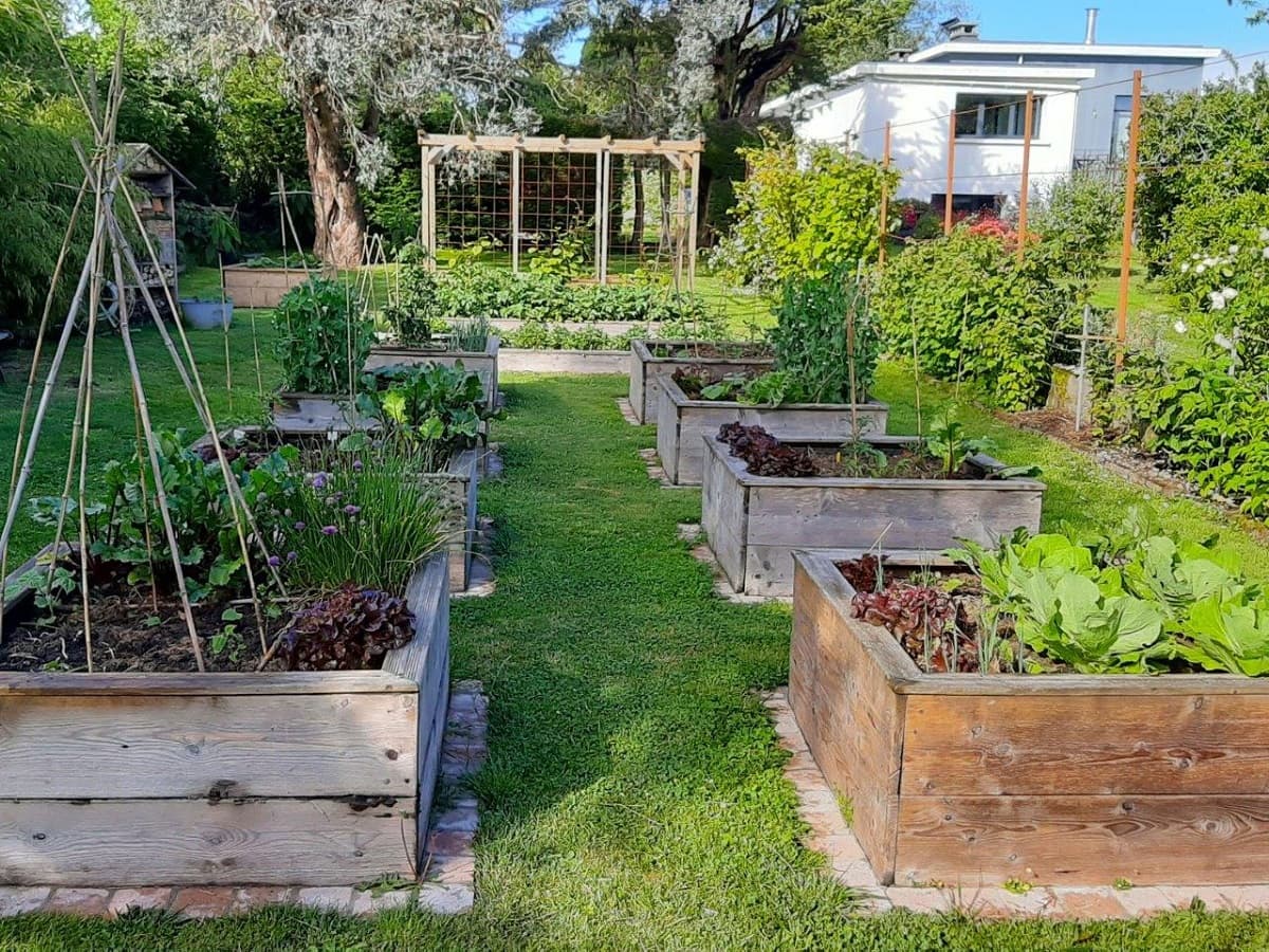 JARDIN RADIOPHARE-BEGUE AM-CEC-4
