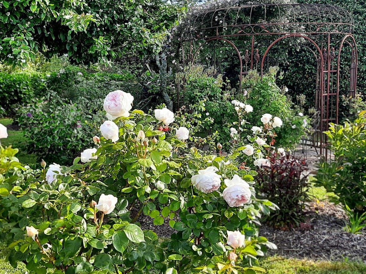 JARDIN RADIOPHARE-BEGUE AM-CEC-5
