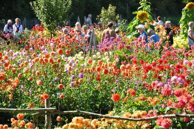 Jardins-en-liberte-5