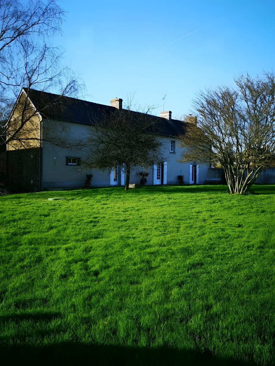 L'arrière