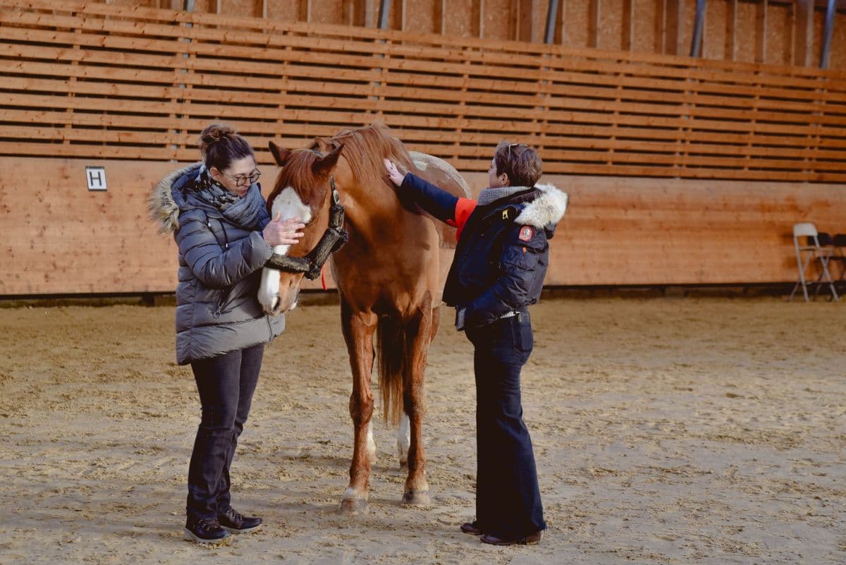 La_Chaise-Baudouin_Equi-Coaching4