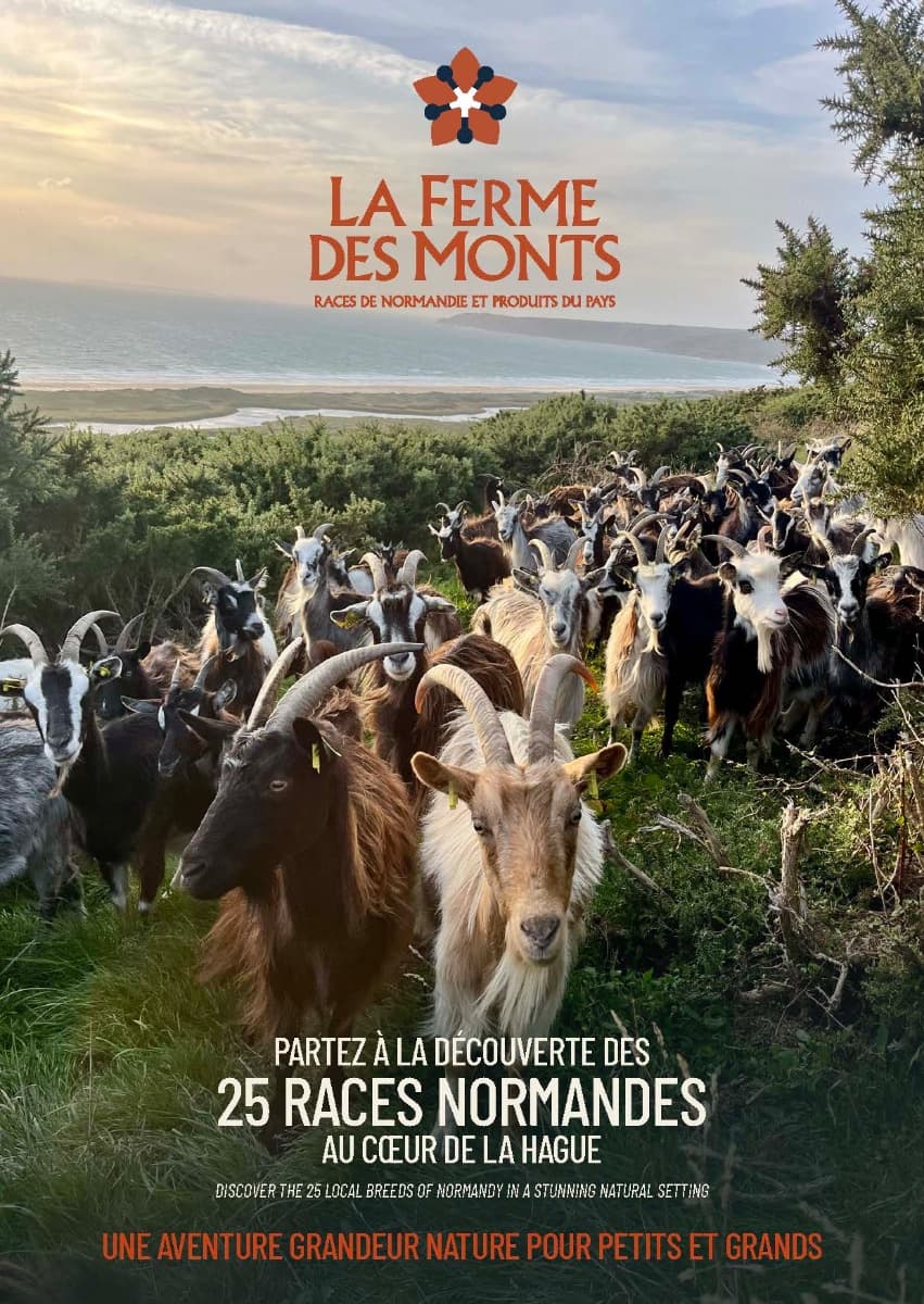 vauville-la-ferme-des-monts-0