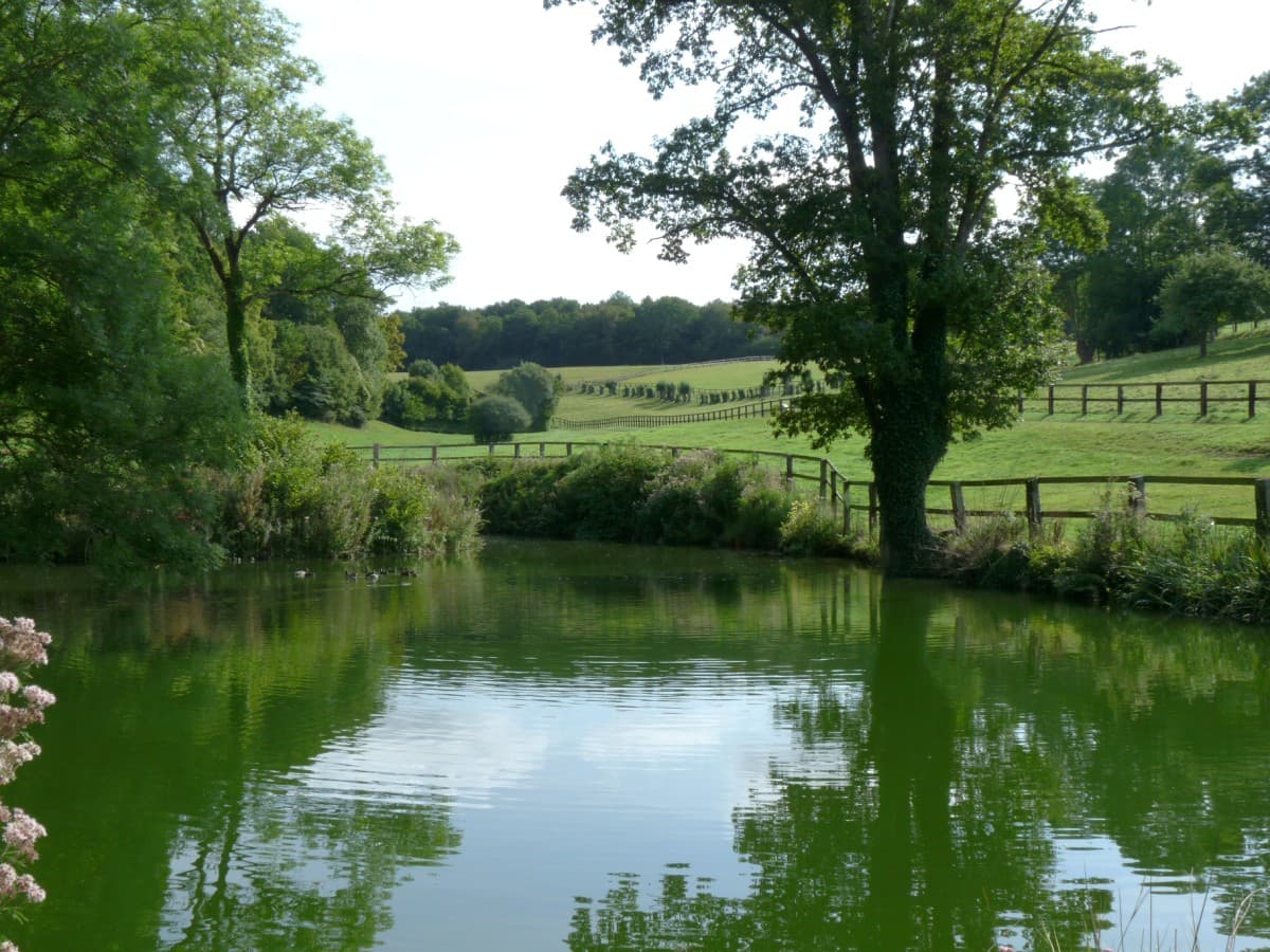 La Rousserie Etang