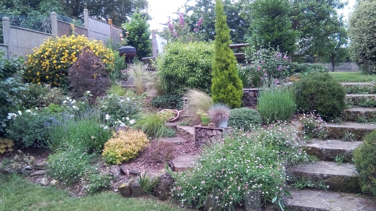 Le jardin