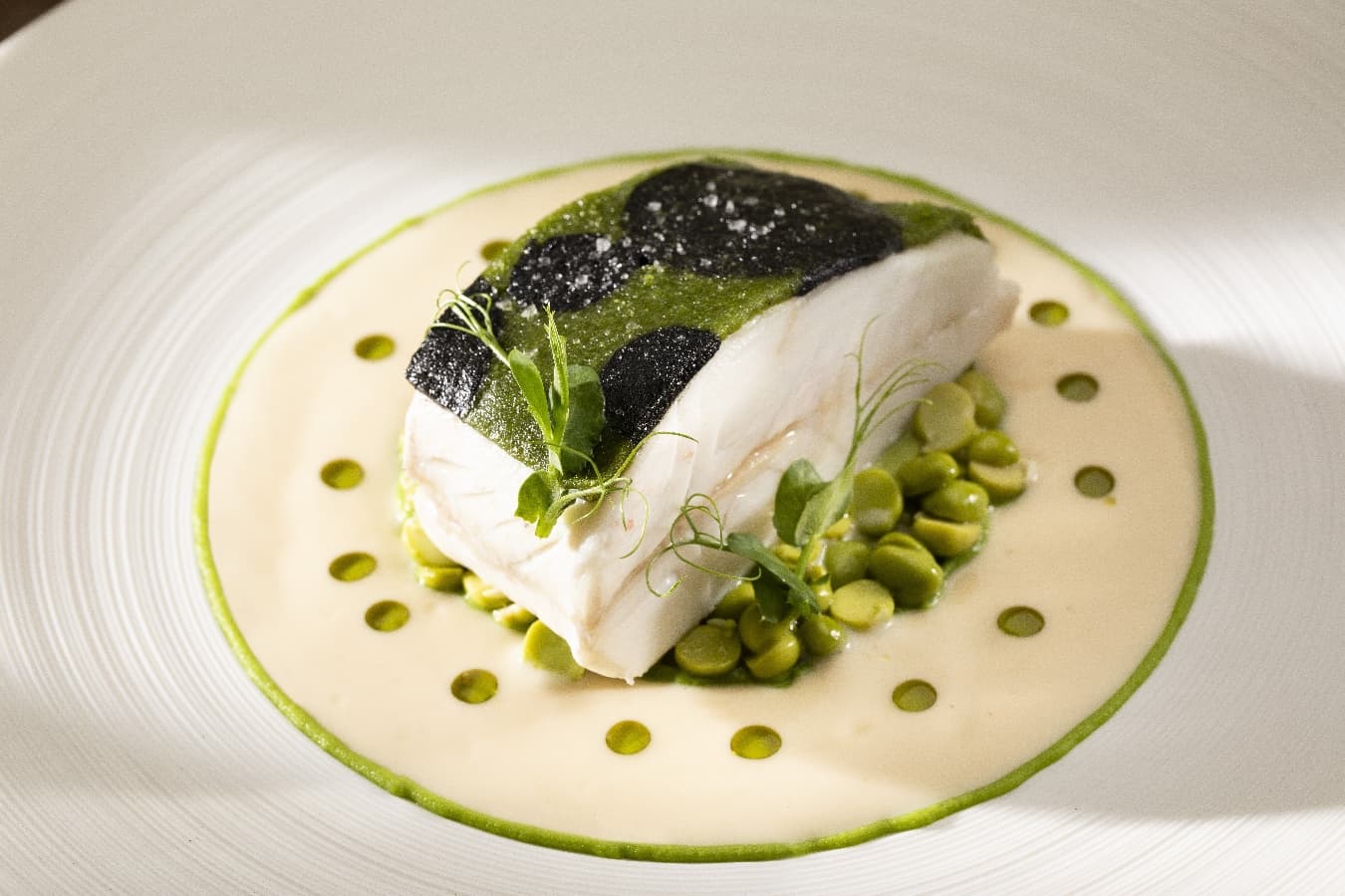 Le turbot
