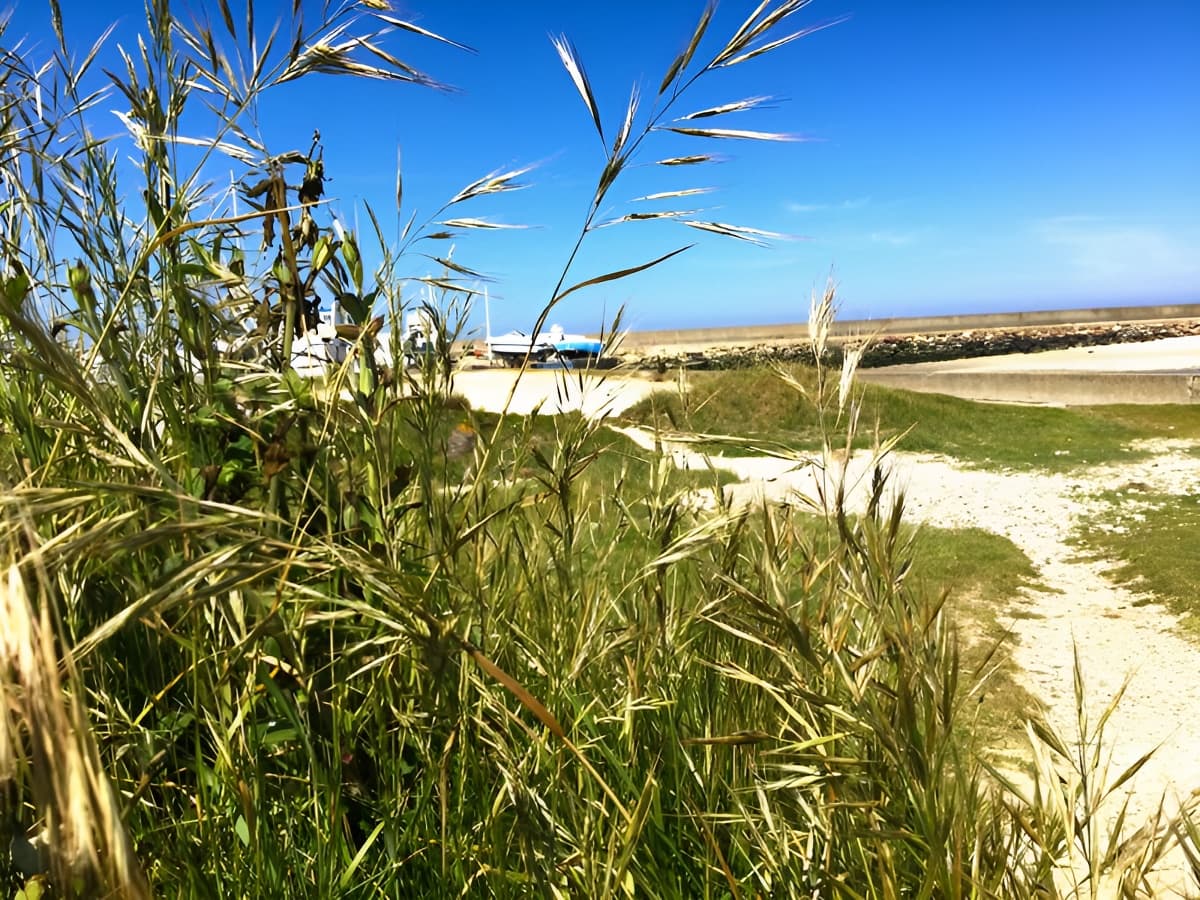 Chemin secret qui mène aux planches