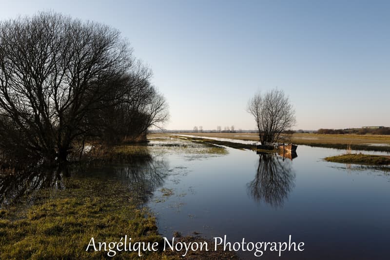Les marais blancs