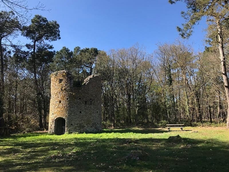 MOULIN_PIROU