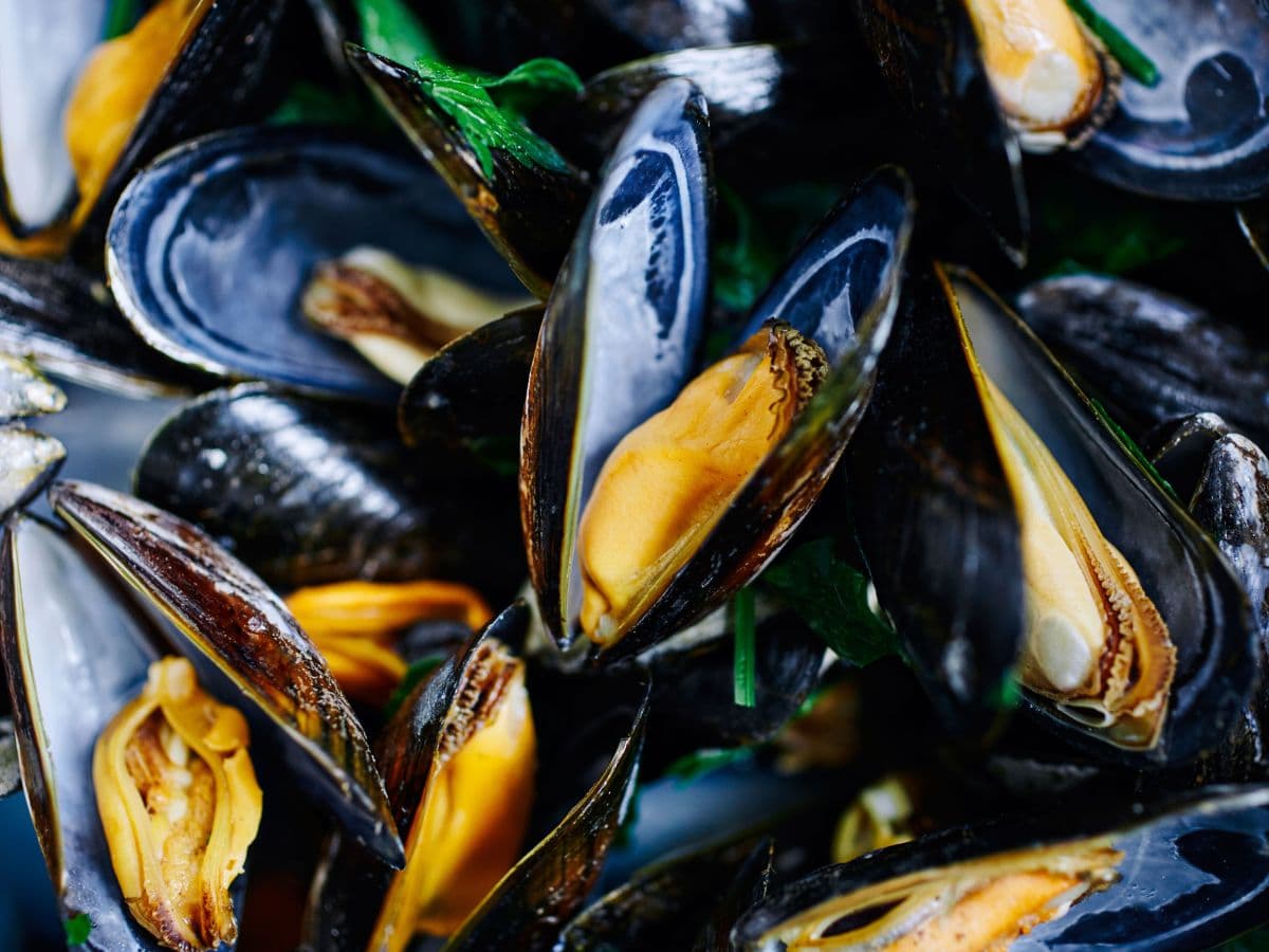 Moules2