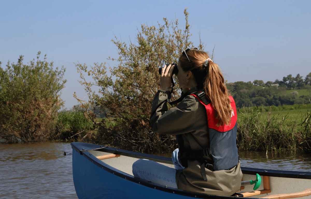 OBSERV~1