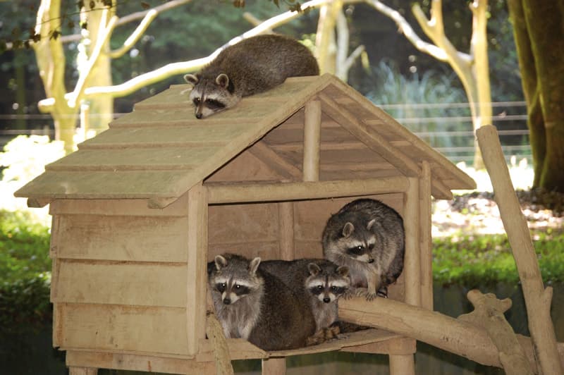 Parc animalier Saint-Martin_1