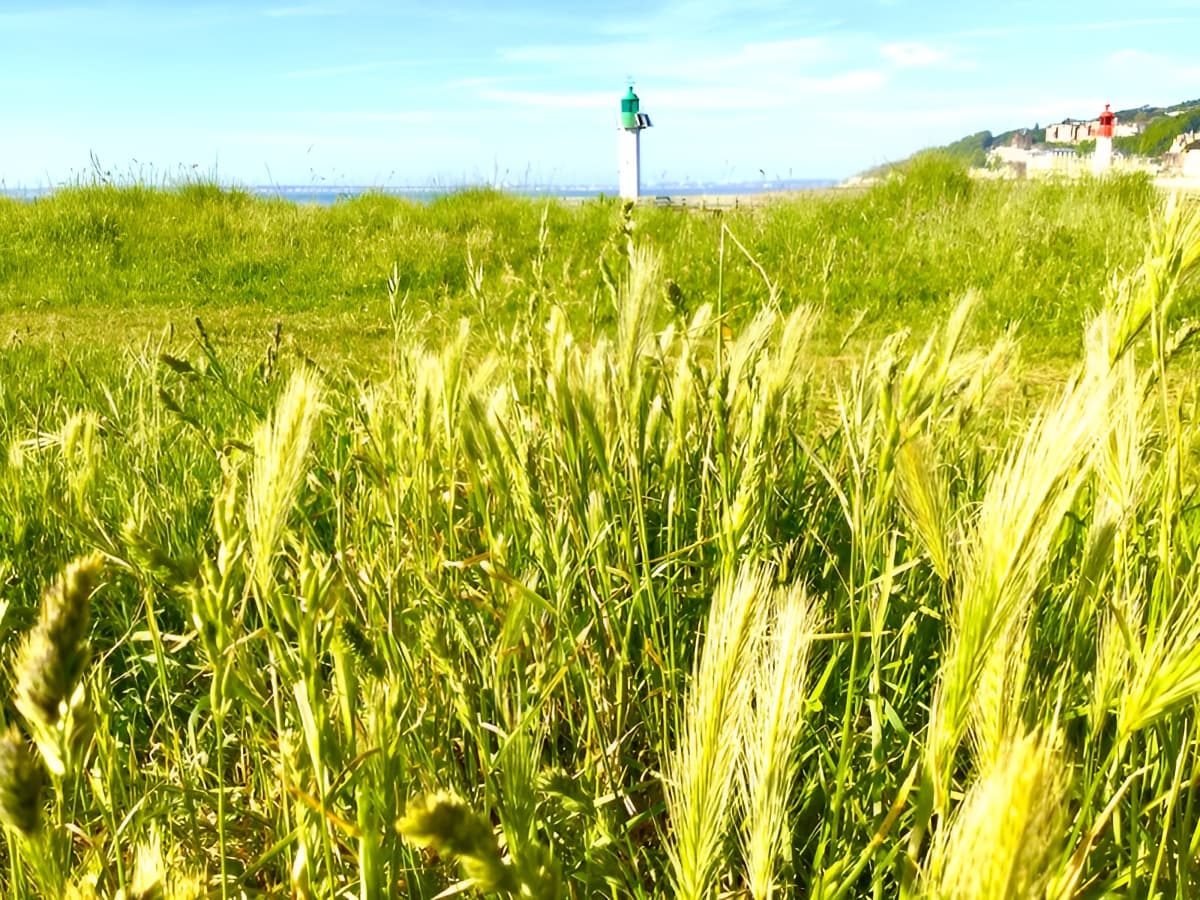 La nature préservé