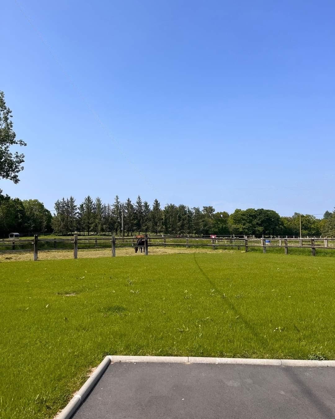 1 grand jardin