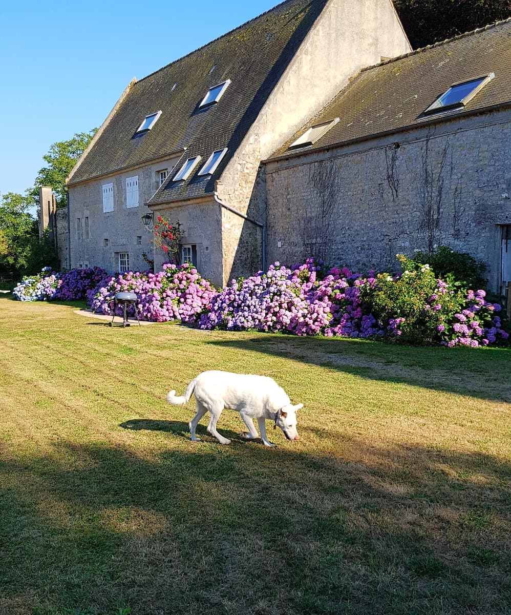 Photos Mme JOUSSELME 2