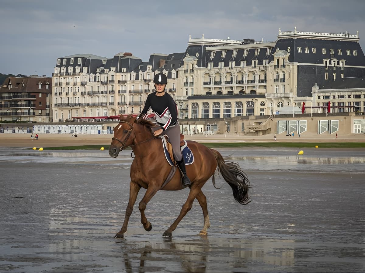 Pôle équestre - balade plage