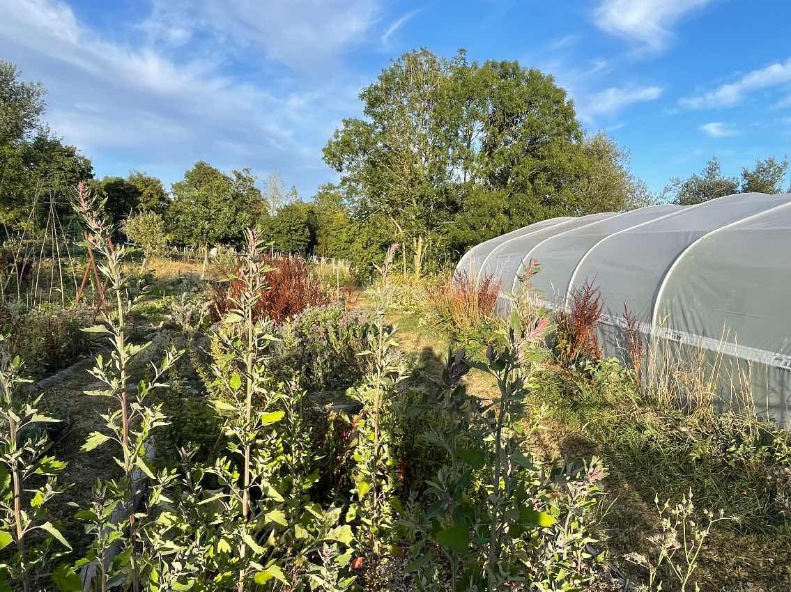 Potager biologique et forêt nourricière