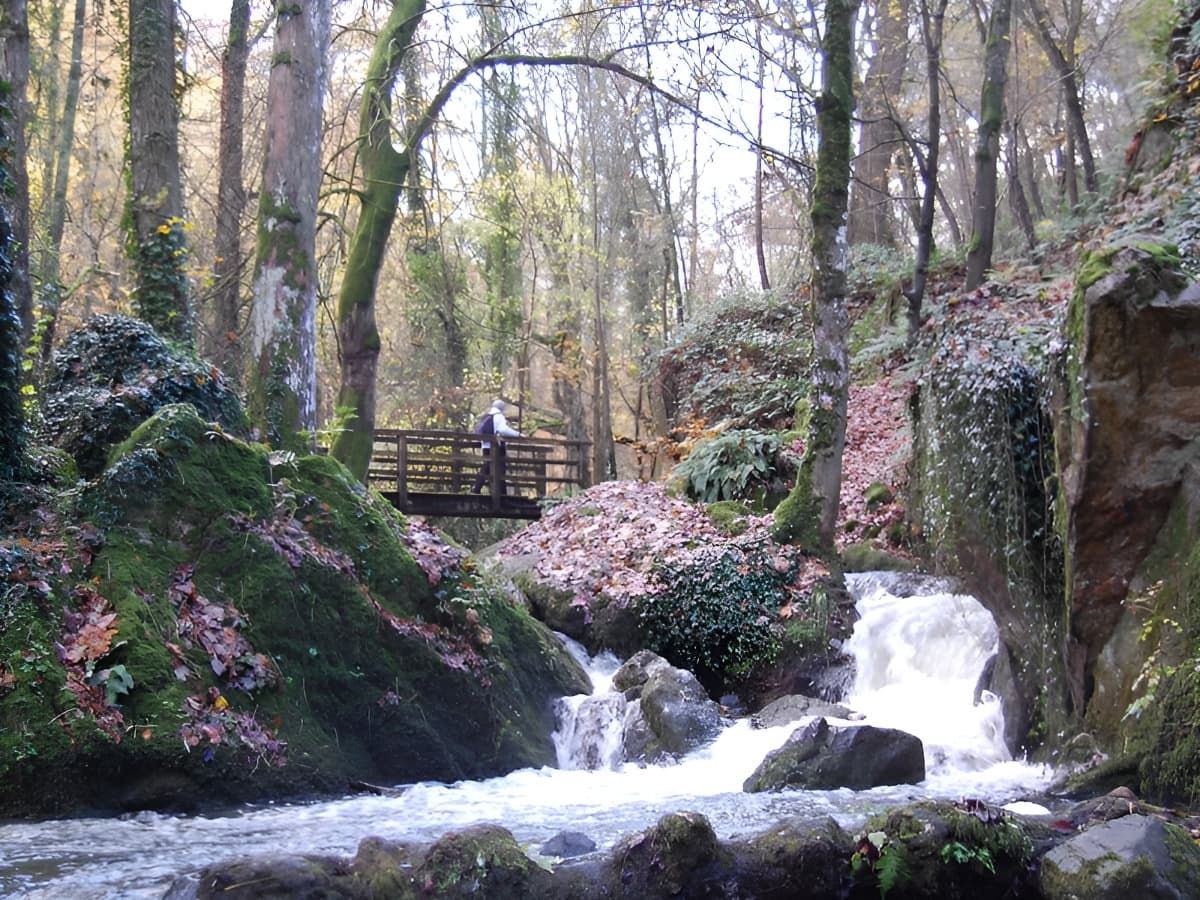 Promeneur en forêt