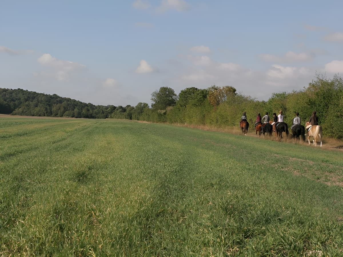 Randonnée à cheval à la campagne (1)