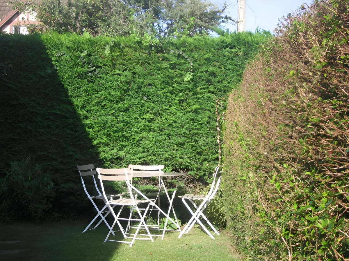Les Micha - Salon de jardin