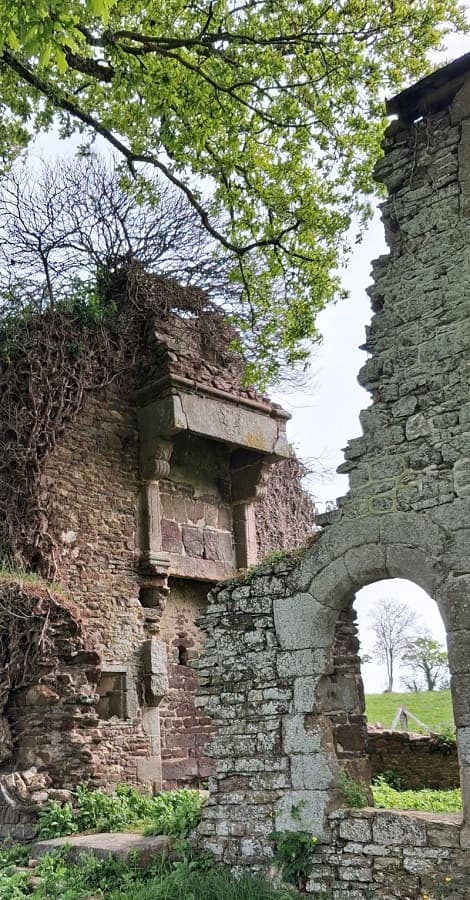 Ruines Du Guesclin