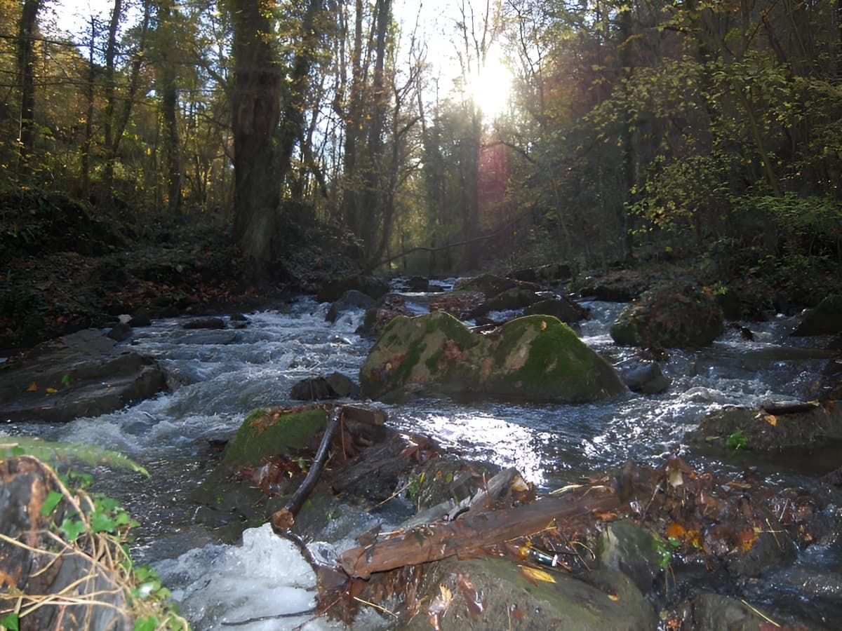 Ruisseau à la Brèche au Diable